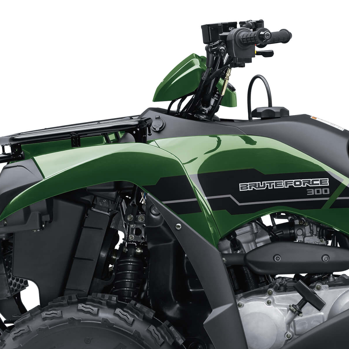 Brute Force 300 motor