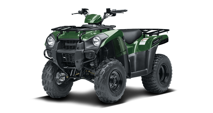 Kawasaki Brute Force 300