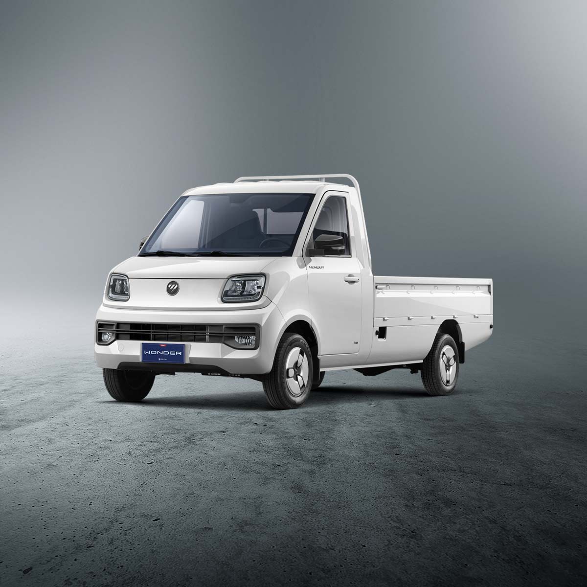 Foton WONDER trabajando