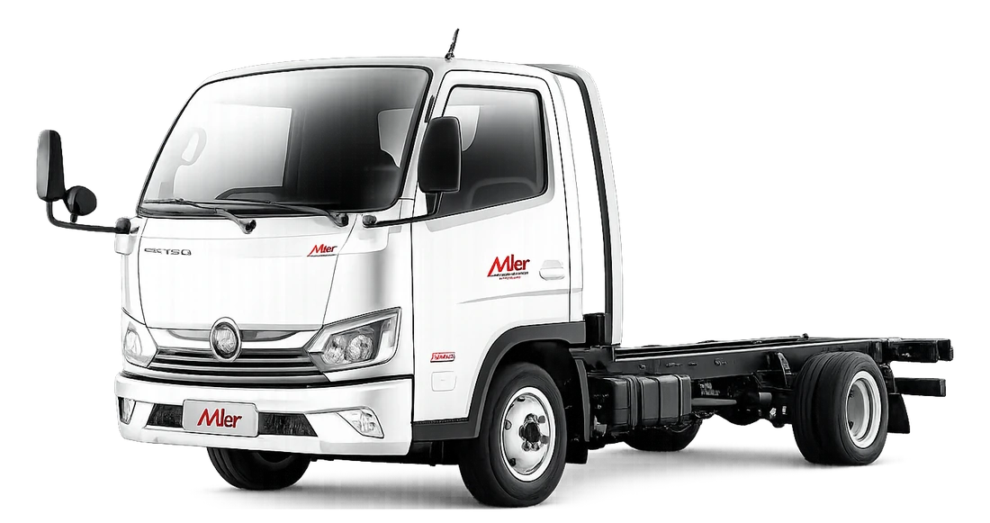 Foton Miler 314